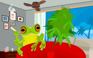 Marijuana Happy Frog - artist impression - download free marijuana wallpaper in hd