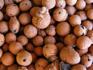 Hydroton clay pebbles for marijuana