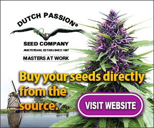 Buy Marijuana Seeds Online